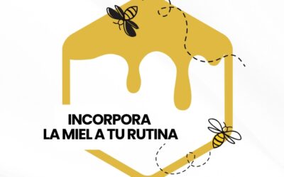 Disfruta del verano con la mejor miel de Salamanca: miel de encina, miel de azahar, miel de romero y polen de abeja