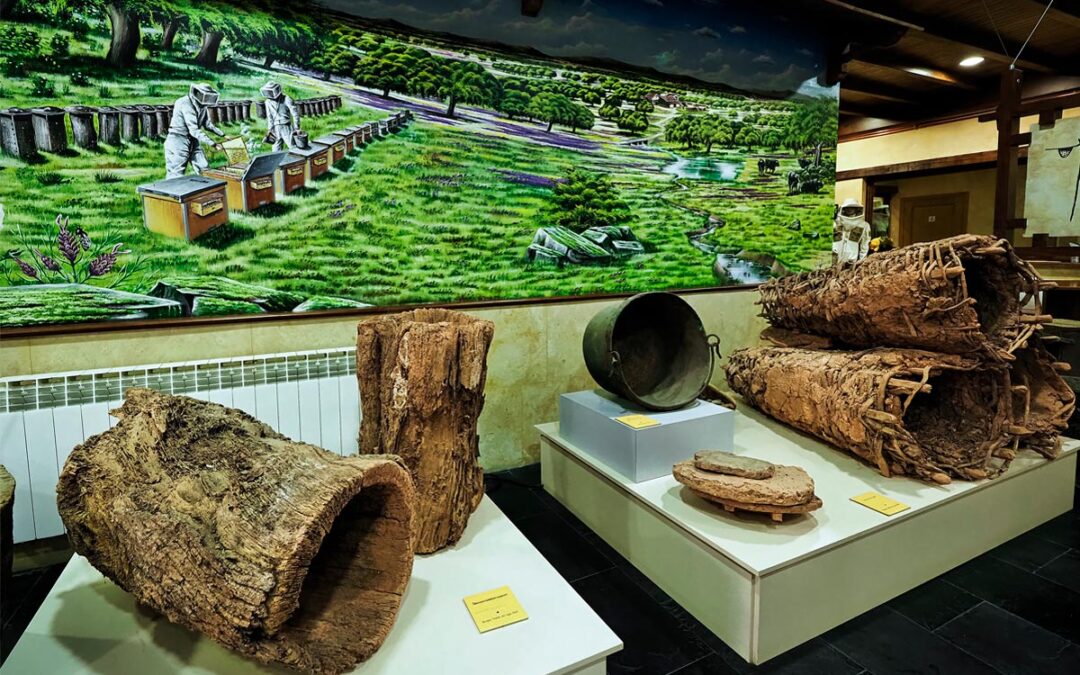 Museo Apícola Fernández: un viaje al corazón de la miel de Salamanca