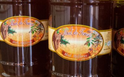 Nuevo etiquetado de la miel 2026: países y porcentajes en la etiqueta