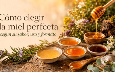 Cómo elegir la miel perfecta según su sabor, uso y formato